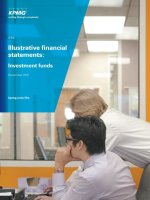 IFRS IILUSTRATIVE FINANCIAL STATEMENTS: INVESTMENT FUNDS pot