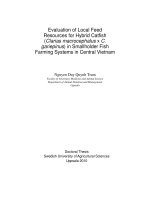Evaluation of Local Feed Resources for Hybrid Catfish (Clarias macrocephalus x C. gariepinus) in Smallholder Fish Farming Systems in Central Vietnam