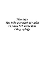 Tiểu luận Tìm hiểu quy trình lấy mẫu và phân tích nước thải Công nghiệp pot