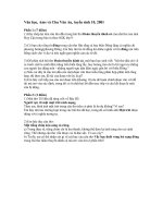 Văn học, Ams và Chu Văn An, tuyển sinh 10, 2001