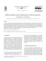 Efficient indirect exciton luminescence in silicon nanowires