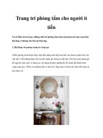 Trang trí phòng tắm cho người ít tiền pot