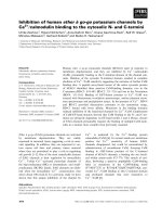 Báo cáo khoa học: ` Inhibition of human ether a go-go potassium channels by 2+ Ca ⁄calmodulin binding to the cytosolic N- and C-termini potx