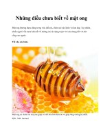Những điều chưa biết về mật ong docx
