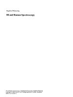 Ir and raman spectroscopy   wartewig