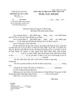 Mẫu phê duyệt chính sách tái định cư cho các hộ gia đình, cá nhân có tài sản bị ảnh hưởng tại dự án… ppt