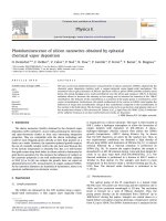 Photoluminescence of silicon nanowires obtained by epitaxial chemical vapor deposition