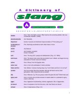 A dictionnary of slang in english docx