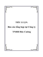 TIỂU LUẬN: Báo cáo tổng hợp tại Công ty TNHH Đức Cường doc