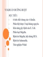 Vi khuẩn đường ruột pdf