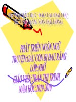 PHÁT TRIỂN NGÔN NGỮ TRUYỆN:GẤU CON BỊ ĐAU RĂNG LỚP:NHỠ docx