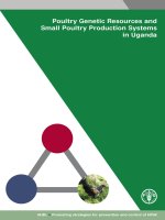 Poultry Genetic Resources and Small Poultry Production Systems in Uganda potx