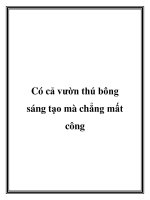 Có cả vườn thú bông sáng tạo mà chẳng mất công pptx