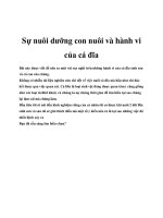 Sự nuôi dưỡng con nuôi và hành vi của cá đĩa ppt