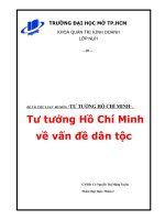 Tiểu luận : Tư tưởng Hồ Chí Minh về vấn đề dân tôc pot