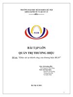 tiểu luận khảo sát sự thành công của thương hiệu bkav