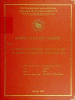 Thị trường vàng thế giới và hệ lụy của nó đến thị trường Việt Nam giai đoạn 2005-2009