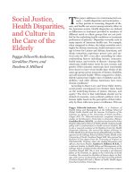 Social Justice, Health Disparities, and Culture in the Care of the Elderly doc