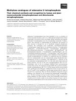 Báo cáo khoa học: Methylene analogues of adenosine 5¢-tetraphosphate Their chemical synthesis and recognition by human and plant mononucleoside tetraphosphatases and dinucleoside tetraphosphatases pot