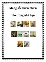 Mang sắc thiên nhiên vào trong nhà bạn doc