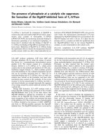 Báo cáo Y học: The presence of phosphate at a catalytic site suppresses the formation of the MgADP-inhibited form of F1-ATPase potx