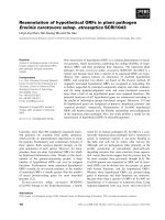 Báo cáo khoa học: Reannotation of hypothetical ORFs in plant pathogen Erwinia carotovora subsp. atroseptica SCRI1043 pot