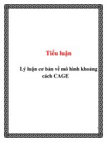 Tiểu luận: Lý luận cơ bản về mô hình khoảng cách CAGE doc