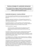 Business strategies for sustainable development docx