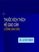 THUỐC KÍCH THÍCH HỆ GIAO CẢM pot