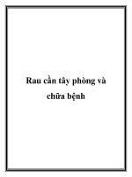 Rau cần tây phòng và chữa bệnh docx