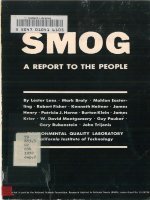smog a report to the people By Lester Lees docx