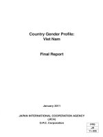 country gender profile viet nam final report