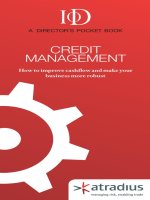 IOD A DIRECTOR''''S POCKET BOOK: CREDIT MANAGEMENT pdf