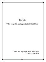 tiểu luận tiềm năng sinh khối gạo của tỉnh ninh bình