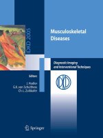 Musculoskeletal Diseases Diagnostic Imaging and Interventional Techniques pot