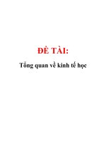 Đề Tài Tổng quan về kinh tế học pot