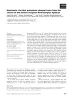 Báo cáo khoa học: Hemitoxin, the ﬁrst potassium channel toxin from the venom of the Iranian scorpion Hemiscorpius lepturus ppt
