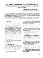 Nghiên cứu tác dụng bảo vệ gan của nấm Linh Chi Việt Nam (Ganodermalucidum) trên chuột gây suy gan thực nghiệm potx