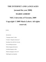 THE INTERNET AND LANGUAGES pptx