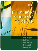 BỨC TRANH TOÀN CẢNH  VỀ LỢI NHUẬN CỦA  CTG, VCB VÀ BIDV