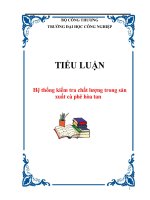 TIỂU LUẬN: Hệ thống kiểm tra chất lượng trong sản xuất cà phê hòa tan pdf