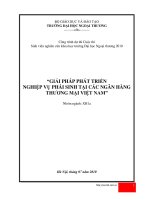 ĐỀ TÀI:GIẢI PHÁP PHÁT TRIỂN NGHIỆP VỤ PHÁI SINH TẠI CÁC NGÂN HÀNG THƯƠNG MẠI VIỆT NAM pot