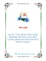 TIỂU LUẬN ĐỀ TÀI: “ỨNG DỤNG CÔNG NGHỆ SINH HỌC ĐỂ NÂNG CAO CHẤT LƯỢNG GIỐNG BẮP NẾP, BẮP NÙ Ở TỈNH AN GIANG” pptx