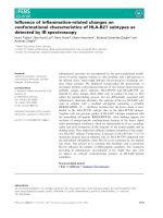 Báo cáo khoa học: Inﬂuence of inﬂammation-related changes on conformational characteristics of HLA-B27 subtypes as detected by IR spectroscopy potx