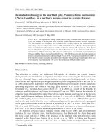 Reproductive biology of the marbled goby, Pomatoschistus marmoratus (Pisces, Gobiidae), in a northern Aegean estuarine system (Greece) pptx