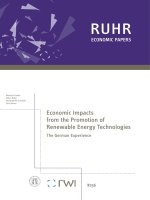 Economic Impacts from the Promotion of Renewable Energy Technologies pot