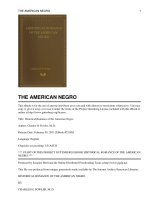Historical Romance of the American Negro pdf