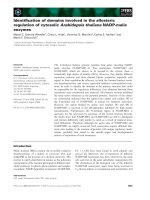 Báo cáo khoa học: Identiﬁcation of domains involved in the allosteric regulation of cytosolic Arabidopsis thaliana NADP-malic enzymes ppt