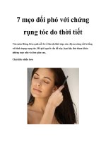 7 mẹo đối phó với chứng rụng tóc do thời tiết ppt