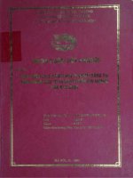 Phát triển sản phẩm dịch vụ ngân hàng tại ngân hàng đầu tư và phát triển chi nhánh tỉnh Bắc Ninh